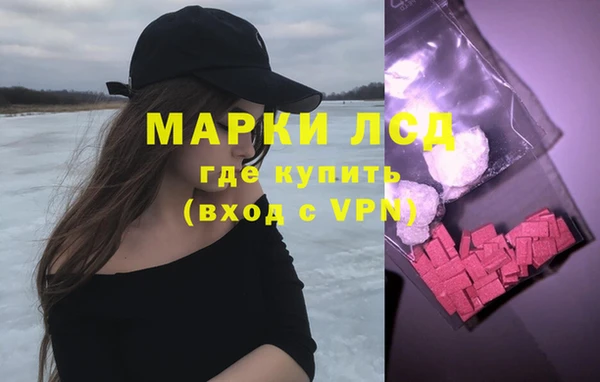 спиды Богородицк