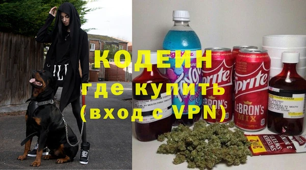 МДПВ Богородск
